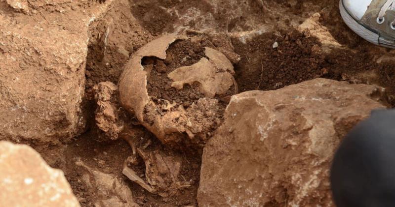 Los secretos de la Torre de Galmés y un cráneo menorquín de hace veintitrés siglos